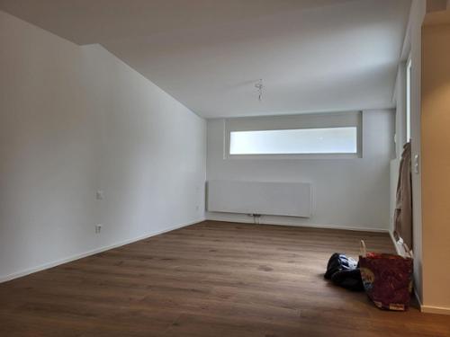 Wohn-/Esszimmer